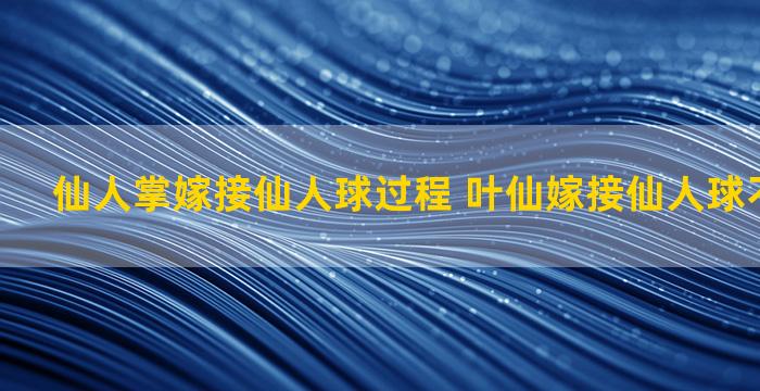 仙人掌嫁接仙人球过程 叶仙嫁接仙人球不成活原因